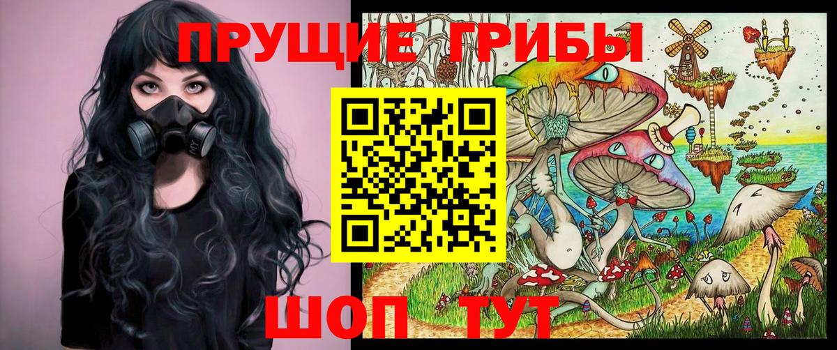 Галлюциногенные грибы мицелий  Вход с VPN  Галлюциногенные грибы Psilocybine cubensis  Можайск 