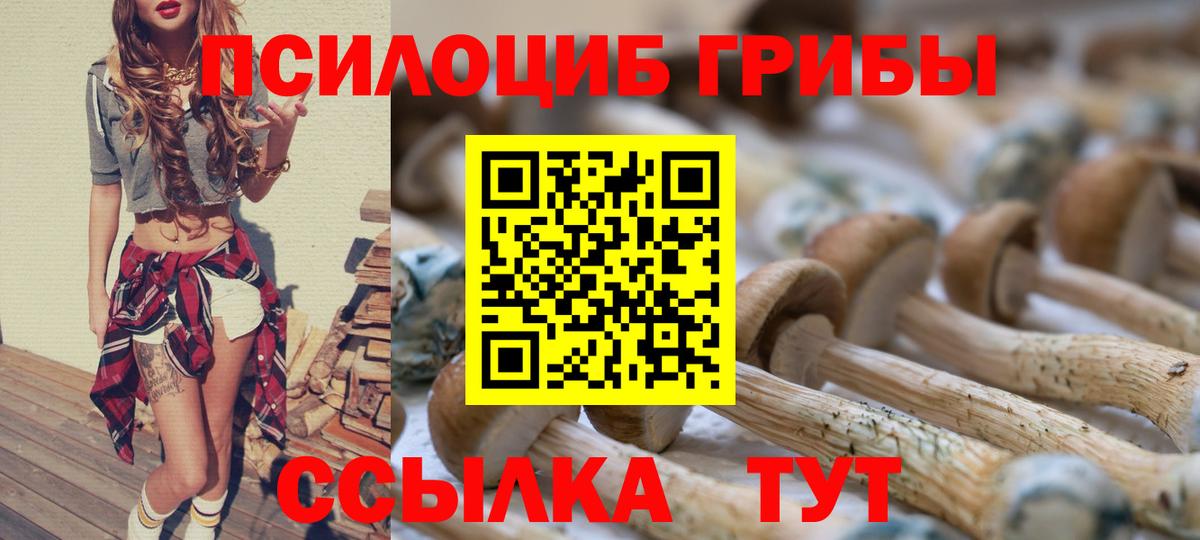 Галлюциногенные грибы Psilocybe Можайск